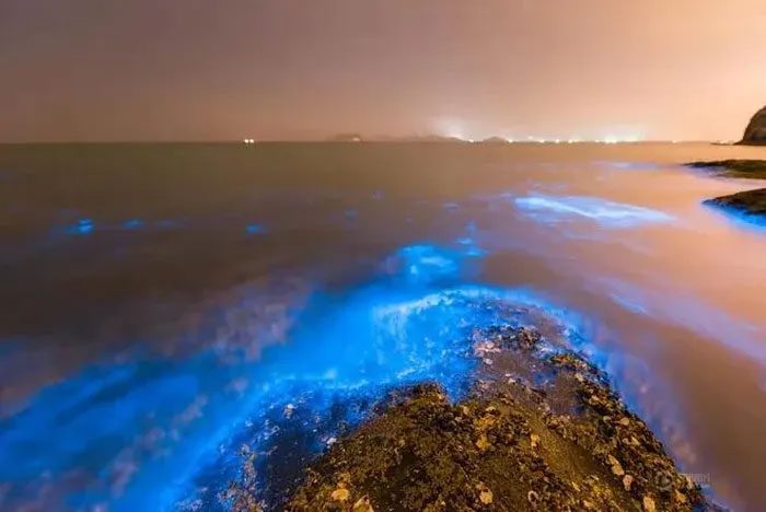 Bioluminescent sea phenomenon.