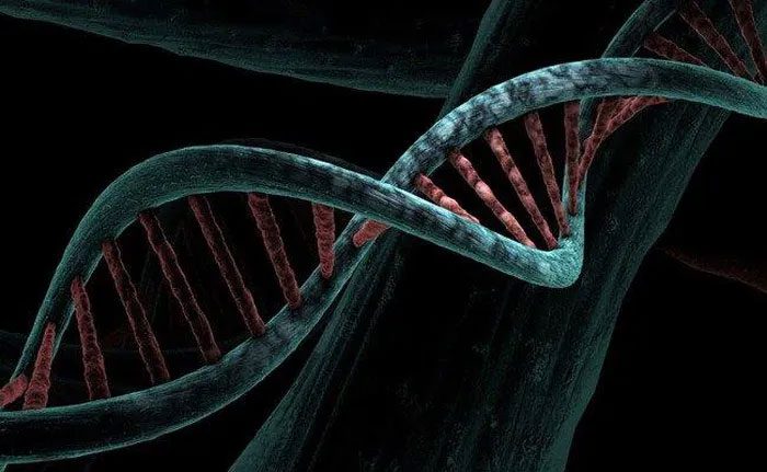 The discovery of this gene could aid in the treatment of severe Covid-19.