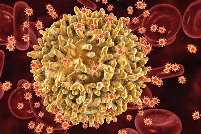 bien the hiv sieu lay nhiem 1