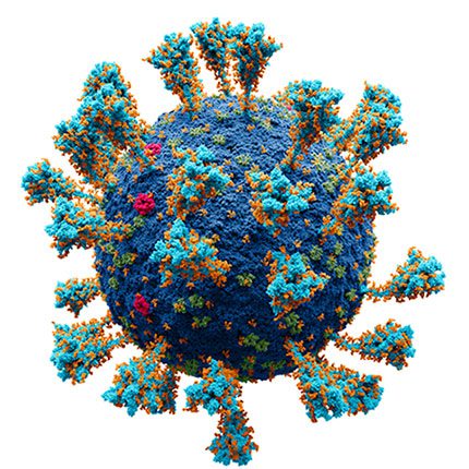 Omicron may be the variant that has reached its maximum transmissibility.