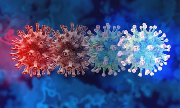Image provided by the U.S. Food and Drug Administration regarding the SARS-CoV-2 virus