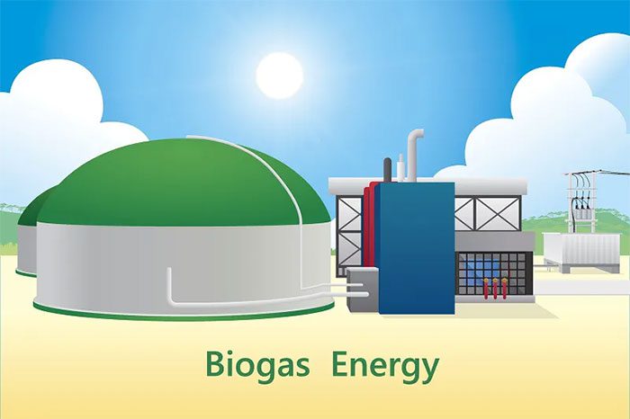 Biogas Plant Using Cow Manure