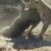 biological hazard mai phuc attack in lon buou mat mang in tich tac 119350