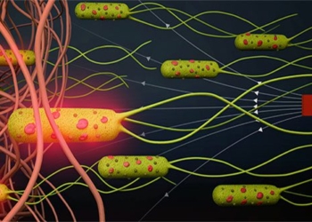 biological robots could revolutionize the war against cancer 121915