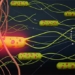 biological robots could revolutionize the war against cancer 121915