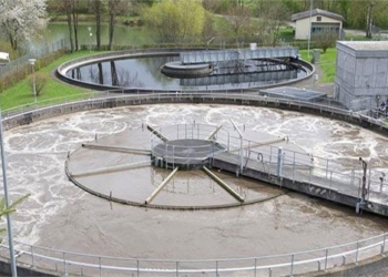 biological safety class vi bacteria discovery could revolutionize wastewater treatment process 118038