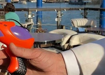 bird attack steal food venice spray water at tourists from 119639