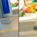 bird uses nature to shop steal items as if no one is watching 120578