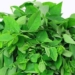 bitter lettuce type vegetable that helps men enhance libido 121817