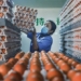 black chicken also comes to less due to record heat in china 122463