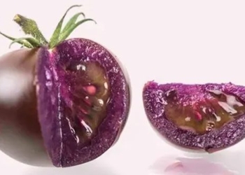 black tomatoes appear on the market 123296