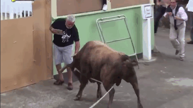 The bull gored the man filming before he fell to the ground