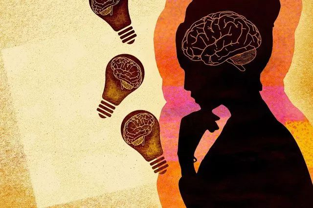 Human memories are stored in several regions of the brain.
