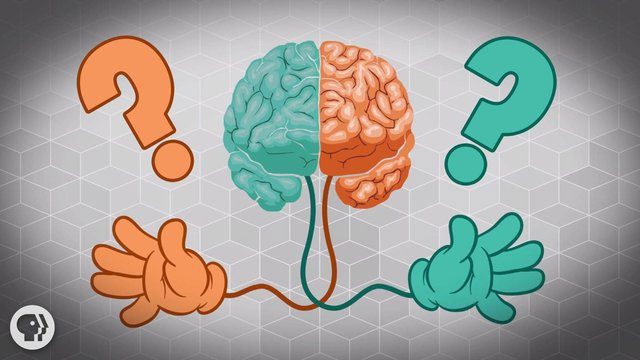 Are left-handed individuals smarter?