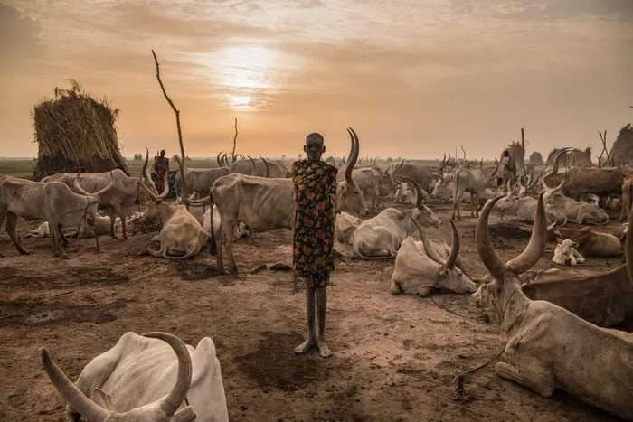 The Dinka tribe is one of three tribes that gradually developed from the original settlers.