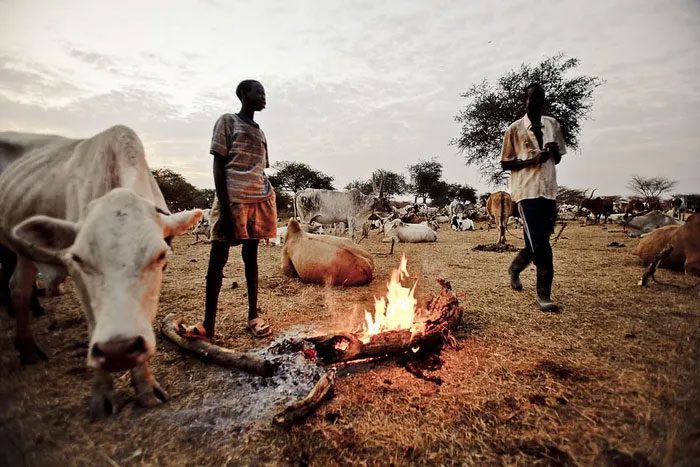 Before the British arrived, the Dinka did not live in villages