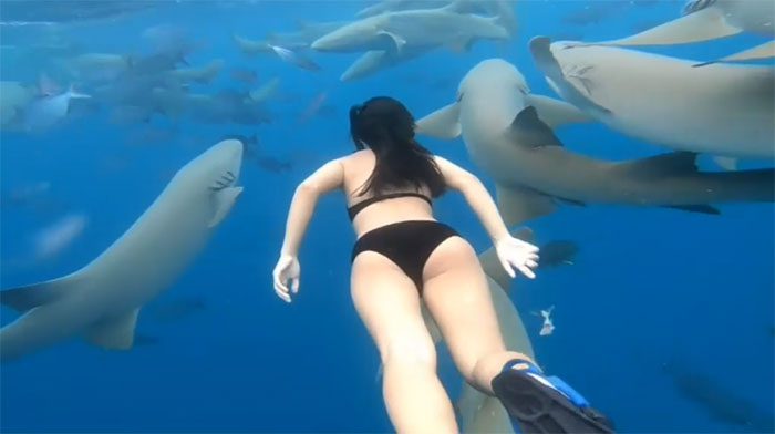 Gapit interacts with nurse sharks, snorkeling and posing for photos.