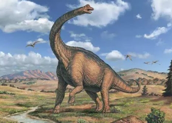 brachiosaurus frame only need to wear a hat can kill you 119519