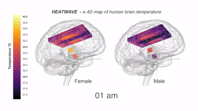 4D heat map