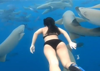brave female tourist caught among hundreds of huge catfish 122777