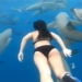 brave female tourist caught among hundreds of huge catfish 122777