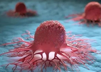 breakthrough research discovery could stop cancer 123967