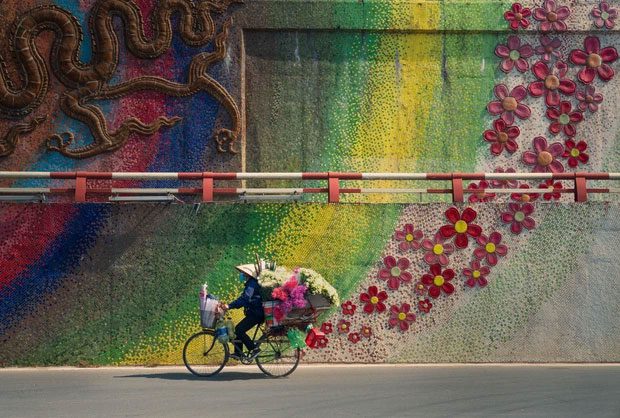The photo "Bicycle and Flowers".