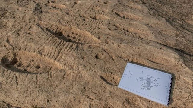The rock art at Al Jassasiya is incredibly unique.