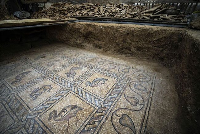 The mosaic floor features images of 17 animal and bird species intricately designed.