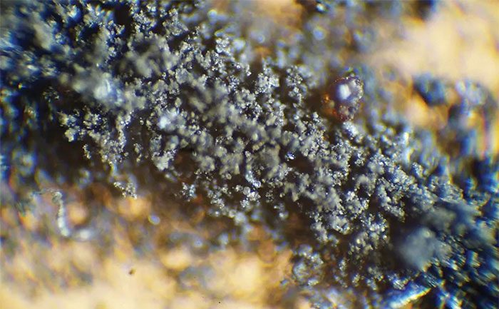 10% of Moon dust was tested on animals.