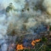by 2030 humans will have to face serious limitations 121314