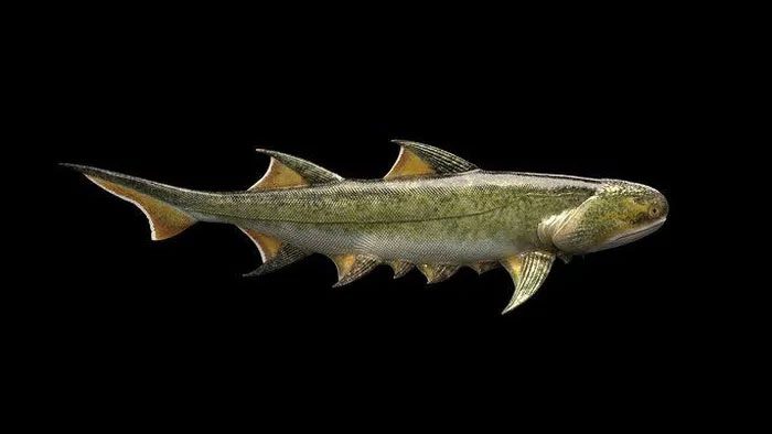 Portrait of our 455 million-year-old "monster" ancestor