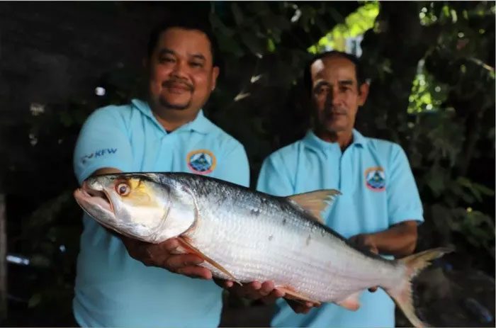  The giant carp known as the "Mekong Ghost" was recently found in Cambodia. 