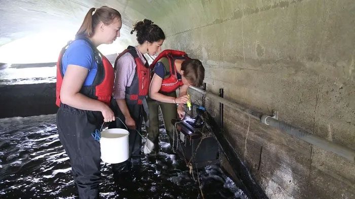 Scientists check the habitat indicators of European eels