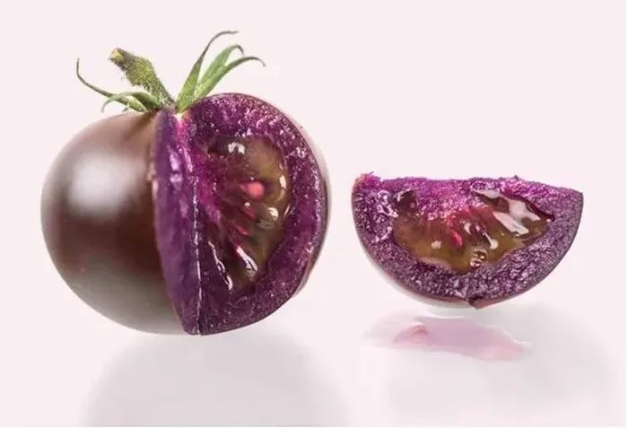 Purple Tomato