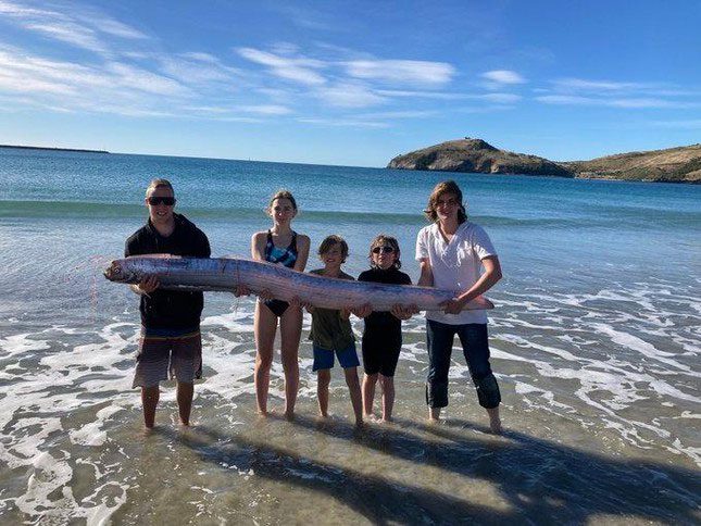 Allen later shared a photo of Williams and four others lifting the fish on Twitter