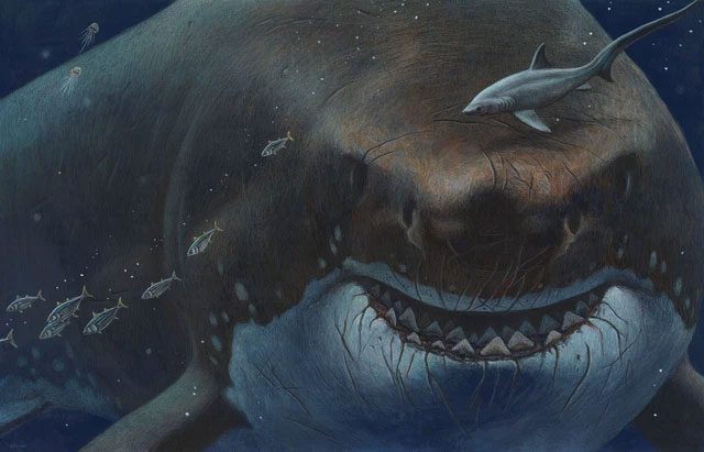 Illustration of megalodon