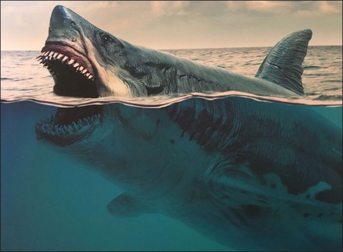 ca map megalodon