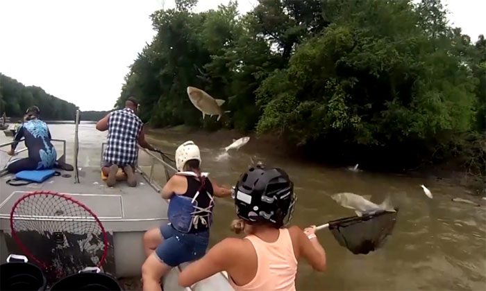 The fishing competition on the Illinois River, USA.