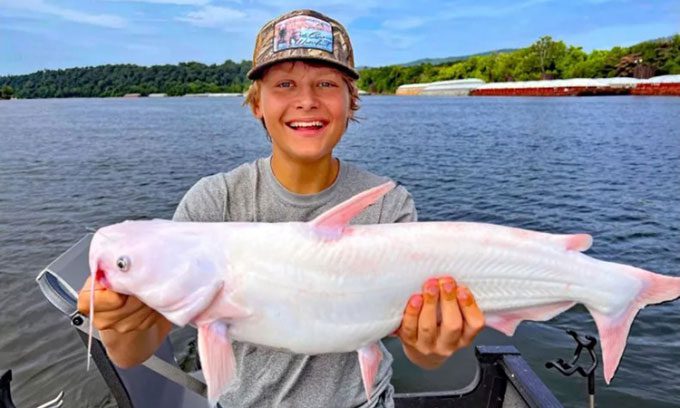 Edwards Tarumianz with the rare white catfish caught on the Tennessee River.
