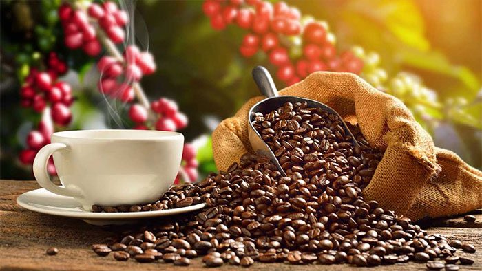 Coffee may increase the solubility of uric acid in urine