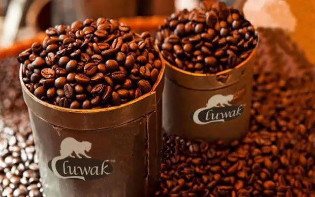 Kopi Luwak Coffee