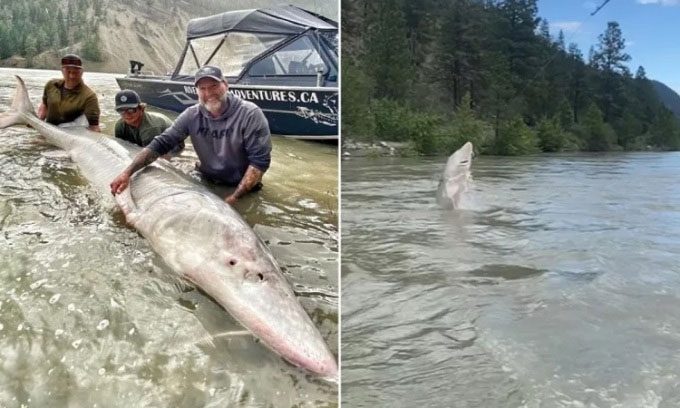 Fishermen posing with the century-old sturgeon.