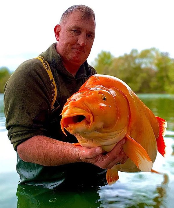 Mr. Hackett taking a photo with the giant goldfish after catching it at Bluewater Lake, France.