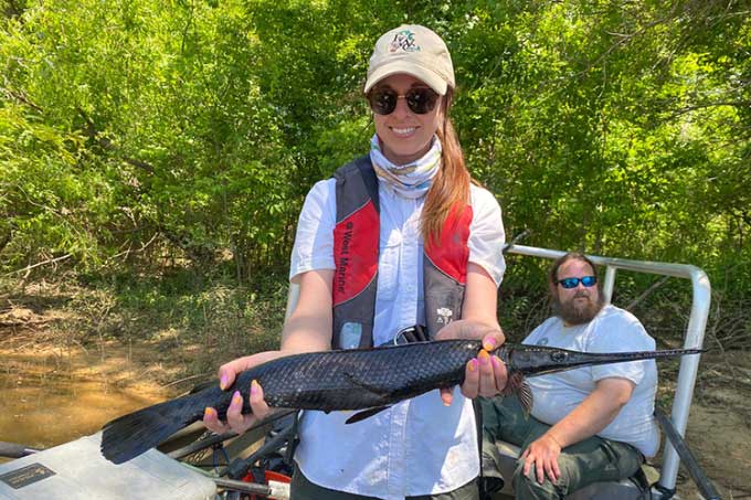 Rarely seen living fossil fish caught on the Choctawhatchee River.