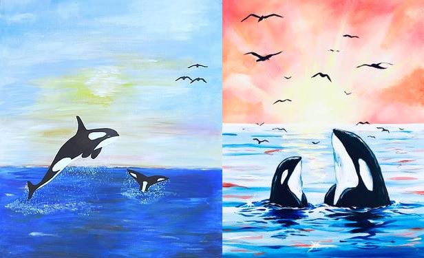 Post-menopausal orcas can allocate more resources to their grandchildren.