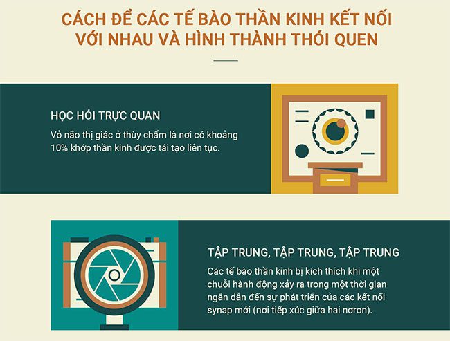 cach bo nao hinh thanh thoi quen moi 3