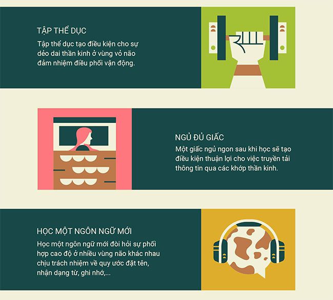 How does the brain form a new habit?