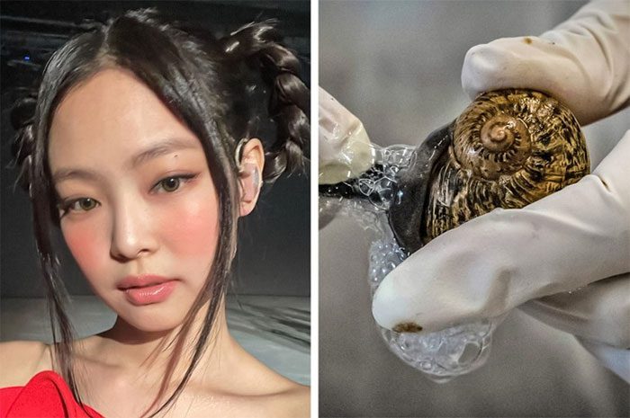 South Korean women highly favor cosmetics containing snail extract.