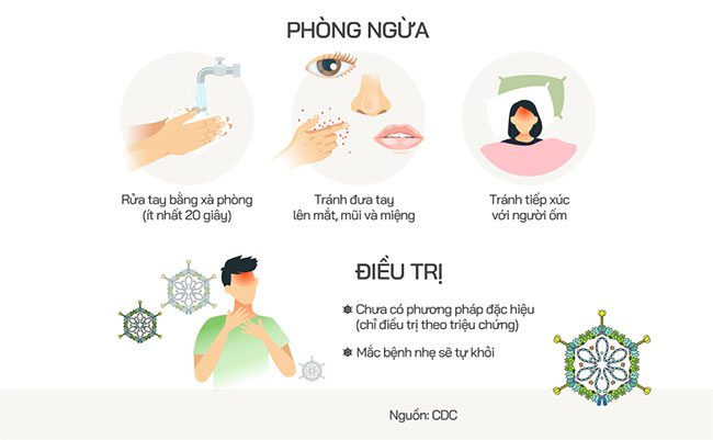 cach lay truyen cua virus adeno 1